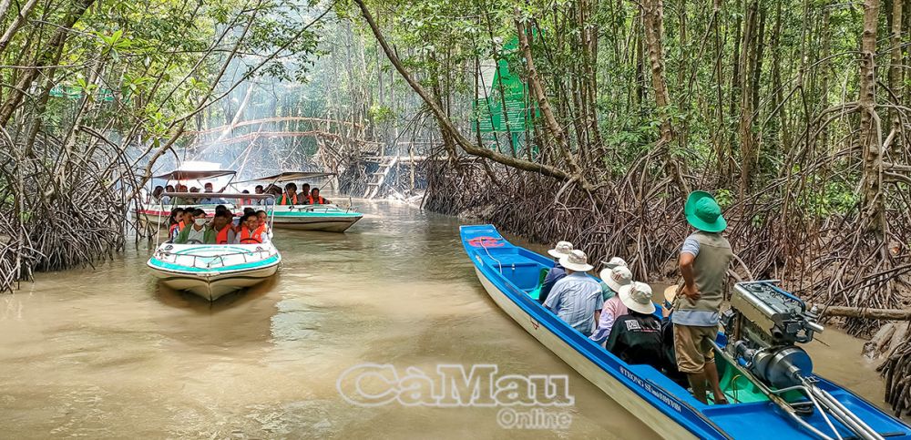 Du lịch sinh thái xuyên rừng được khách du lịch lựa chọn đầu tiên khi đến Ðất Mũi tham quan, trải nghiệm.