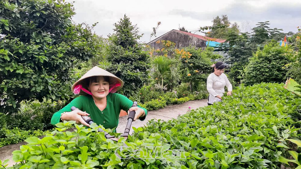 Ngày thứ Bảy tình nguyện đã phát huy hiệu quả, hàng chục ki-lô-mét tuyến đường hoa đẹp mắt rộng khắp các ấp. 