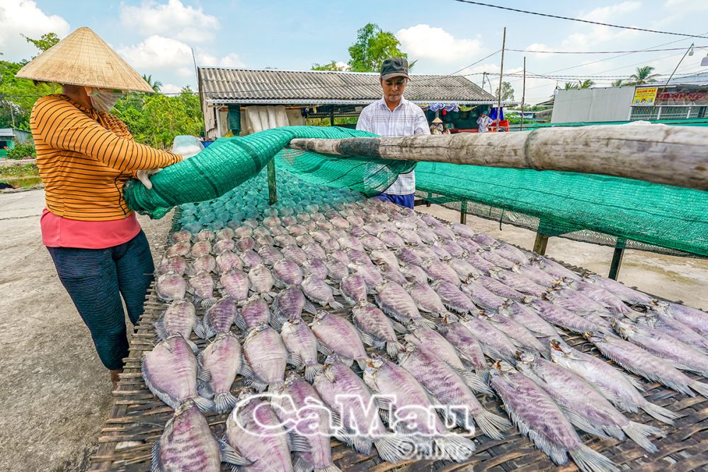 Gia đình anh Danh Nol tất bật sản xuất khô cá bổi phục vụ thị trường Tết.