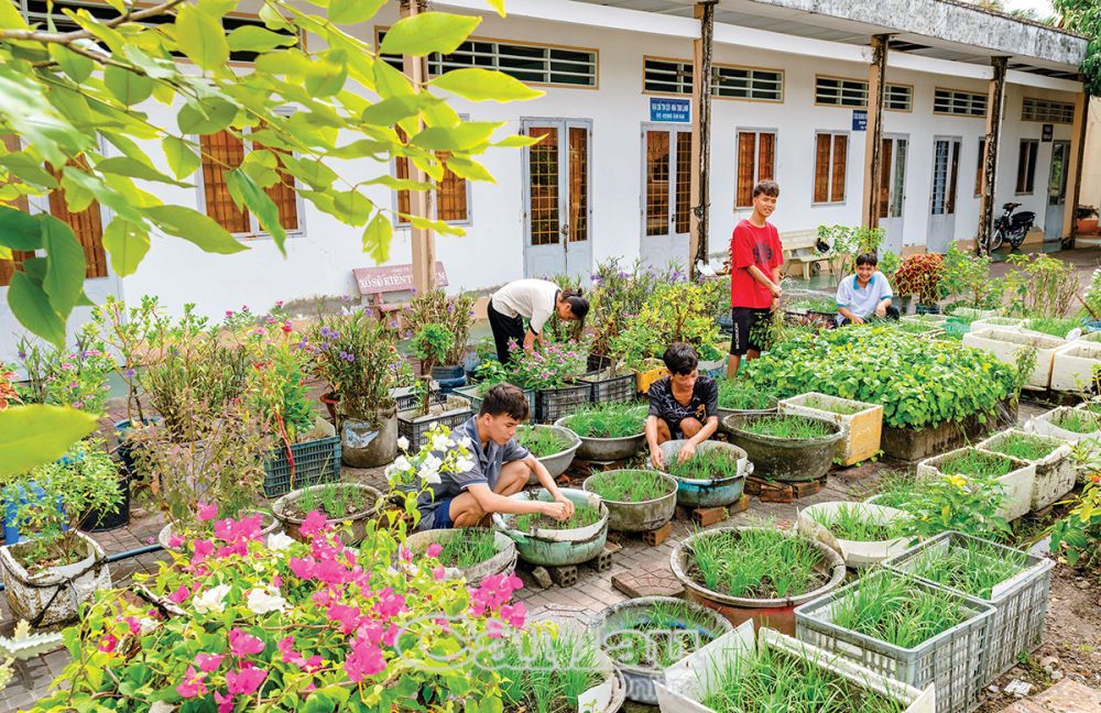 Cùng nhau trồng rau và chăm sóc khuôn viên, mang lại không gian xanh tươi, sạch, đẹp. (Ảnh chụp tại Trung tâm Bảo trợ xã hội tỉnh).