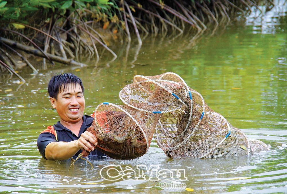 Cà Mau hiện có trên 22.000 ha tôm - rừng đạt chứng nhận quốc tế ASC, BAP, Seafood Watch.