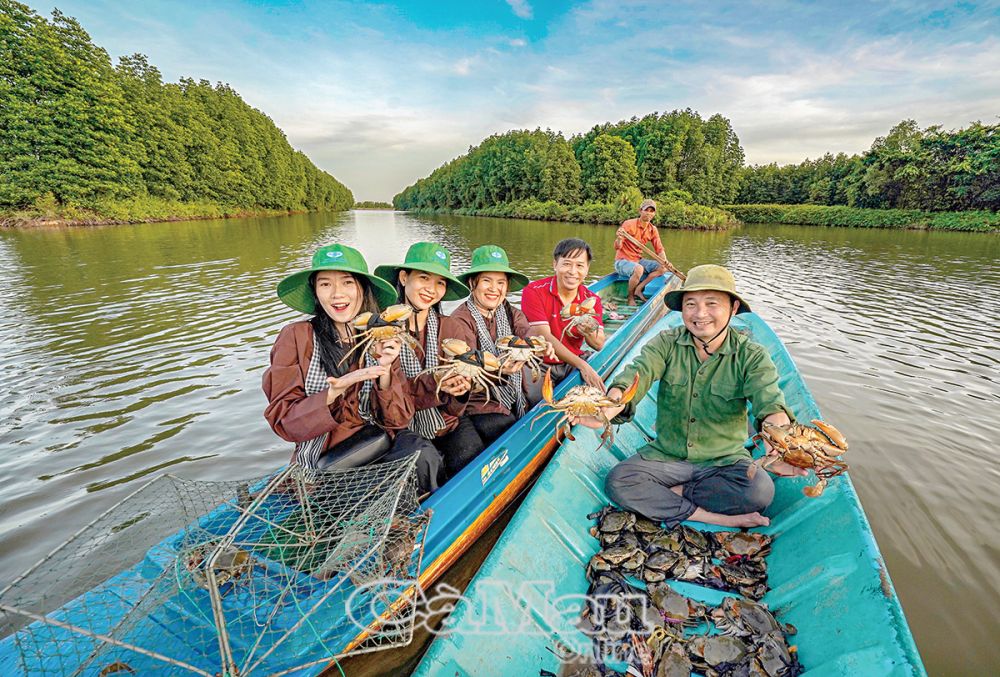 Từ năm 2019 trở lại đây, du lịch Cà Mau xây dựng các tour xuyên rừng, bơi xuồng du ngoạn rừng đước, ngắm cảnh, trải nghiệm soi ba khía, đặt rập cua, rất thú vị. 