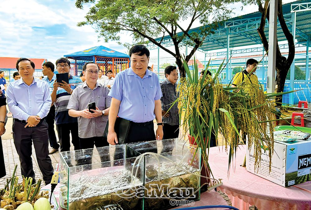 Phó bí thư Tỉnh uỷ, Chủ tịch UBND tỉnh Phạm Thành Ngại tham quan sản phẩm đặc trưng của xã Trí Lực tại hội nghị thành lập HTX nông nghiệp Trí Lực, ngày 28/12/2024. Ảnh: NGUYỄN PHÚ