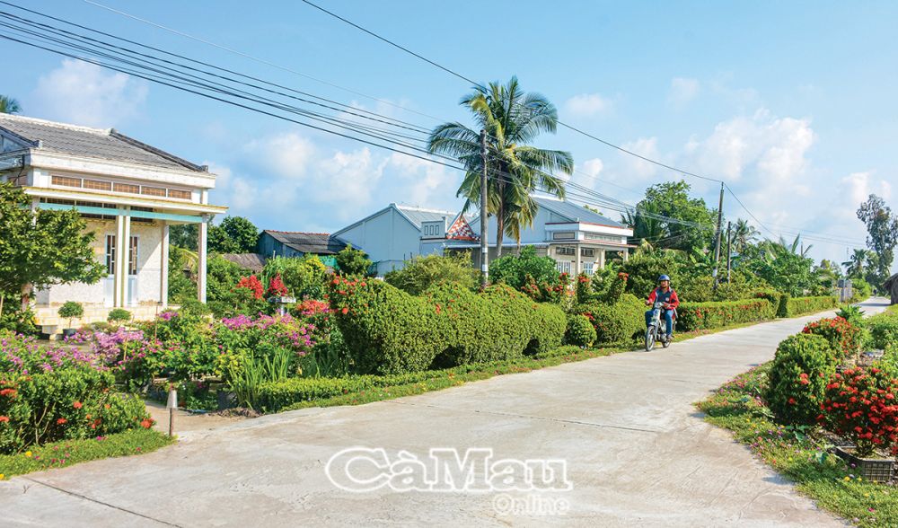 Nhà kiên cố, hàng rào cây xanh nối dài theo các tuyến đường bê tông thẳng tắp như tô thắm vẻ đẹp mùa xuân no ấm, sum vầy trên vùng quê hôm nay. (Ảnh chụp tại ấp Cây Khô, xã Hồ Thị Kỷ, huyện Thới Bình).