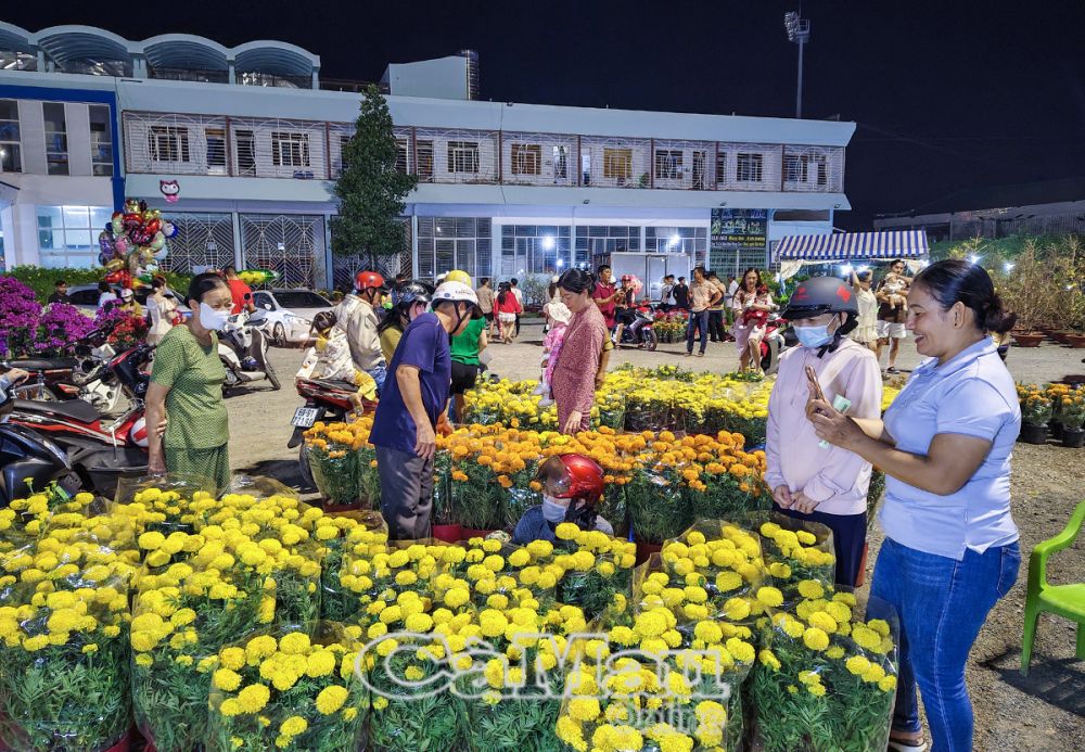 Các mặt hàng hoa, kiểng Tết bình dân, dễ tiêu thụ được các tiểu thương ưu tiên lựa chọn.