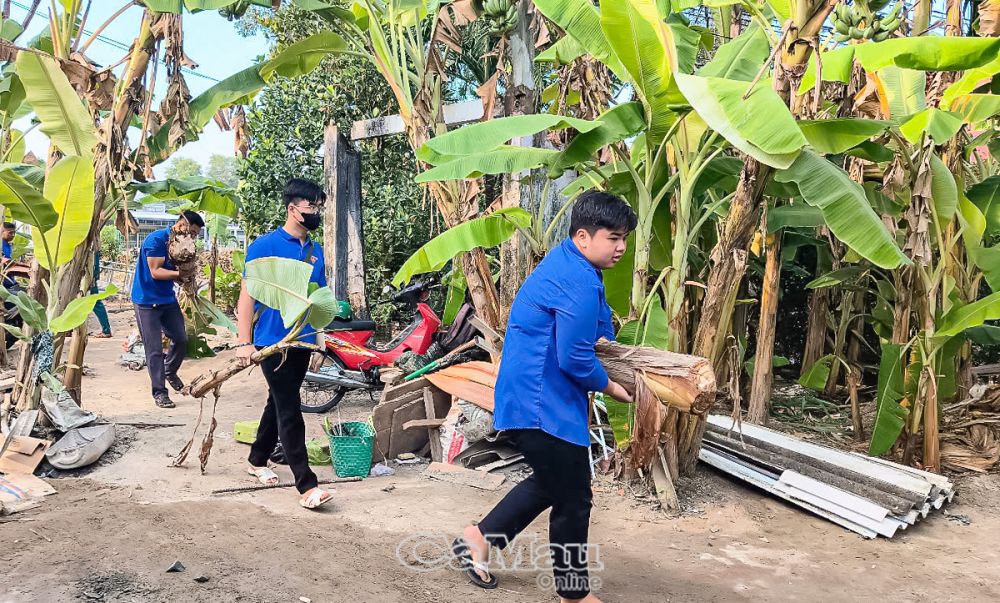 Ðội thanh niên tình nguyện xoá nhà tạm, nhà dột nát xã Tân Lộc, huyện Thới Bình, góp ngày công giúp dân giảm bớt chi phí cất nhà.