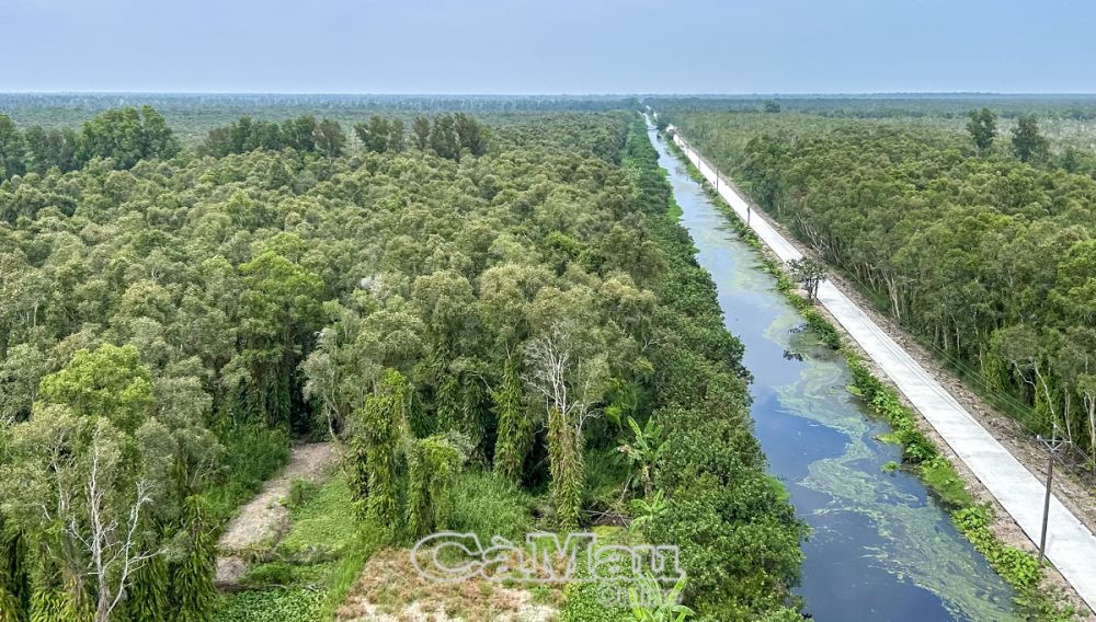 Cơ sở hạ tầng Vườn Quốc gia U Minh Hạ được đầu tư bài bản để phục vụ tốt công tác tuần tra, kiểm soát cũng như phòng cháy chữa cháy rừng.