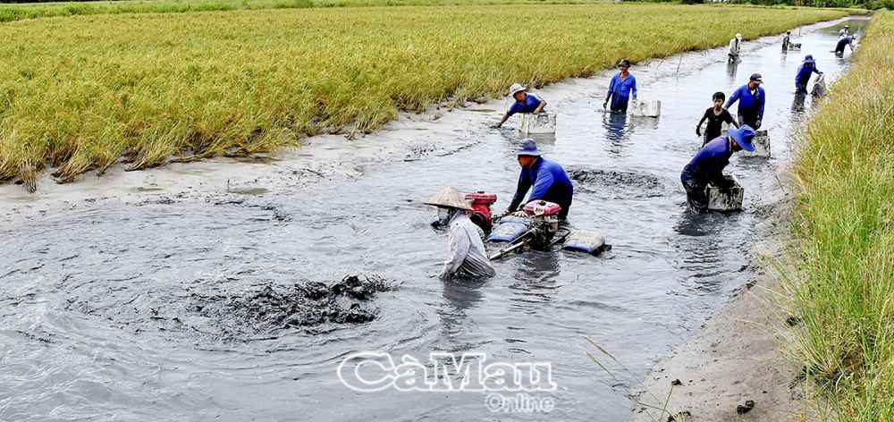 Huyện Thới Bình sẽ rà soát, định hướng các vùng sản xuất, tập trung sản phẩm chủ lực là tôm, lúa sạch, hữu cơ gắn với phát triển du lịch sinh thái dựa vào cộng đồng.