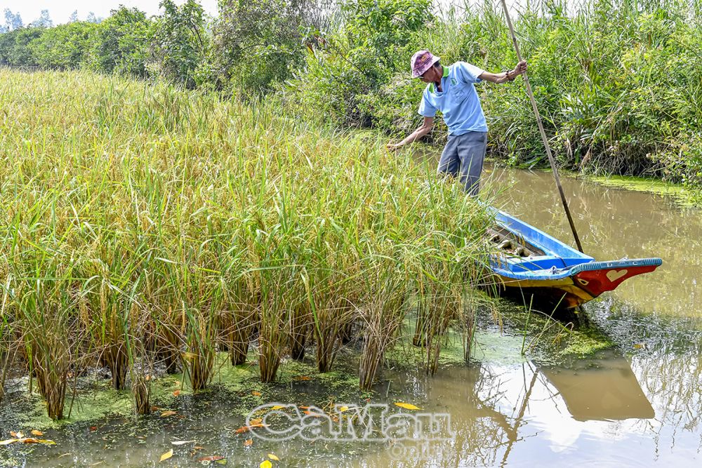 Được hỗ trợ nhà, ông Trần Văn Phong, Ấp 9, xã Khánh An, huyện U Minh, an tâm lao động sản xuất, vươn lên thoát nghèo.