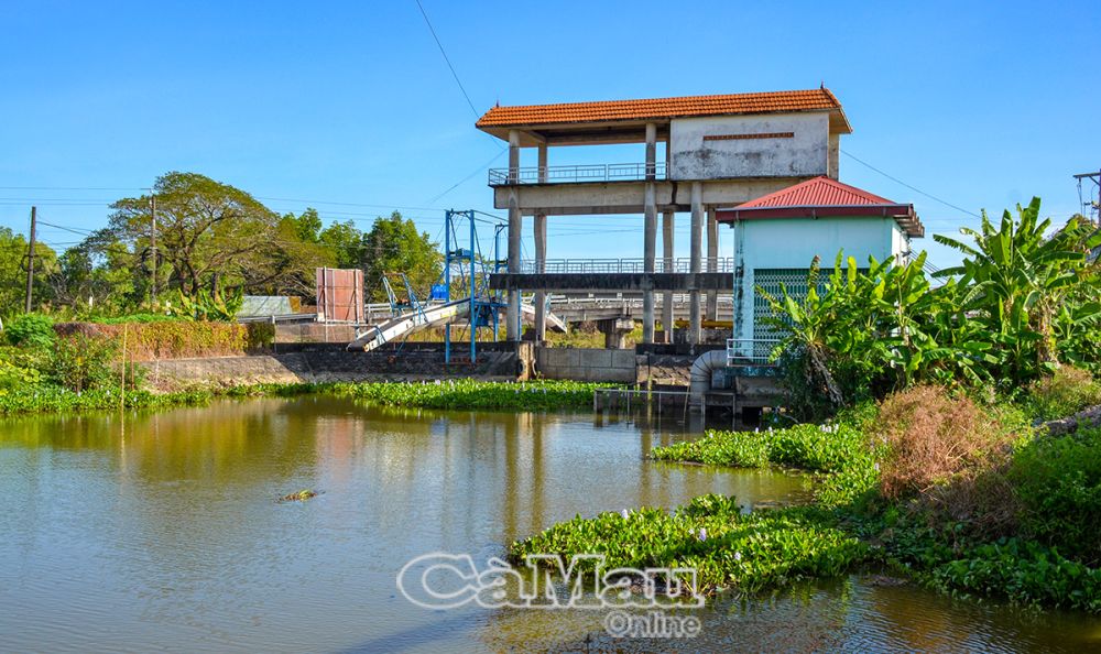 Cùng với hệ thống đê bao, toàn tỉnh có 214 cống thuỷ lợi và 25 trạm bơm điều tiết nước, sẵn sàng ứng phó khi ngập úng, hạn hán, xâm nhập mặn vùng ngọt có thể xảy ra.