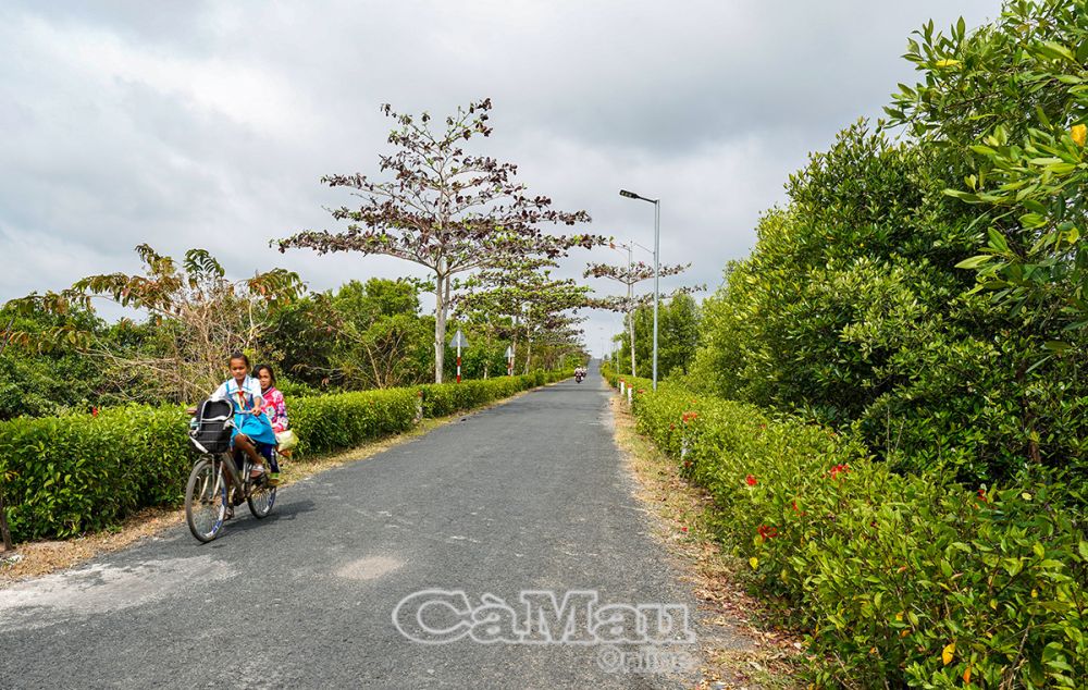 Lộ giao thông đảm bảo ô tô đi lại thuận tiện quanh năm.