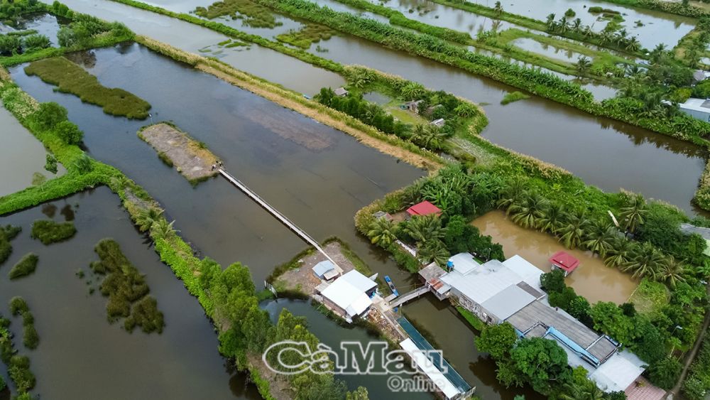 Mô hình tích hợp đa giá trị tại nông hộ Ðỗ Thu Hồng.