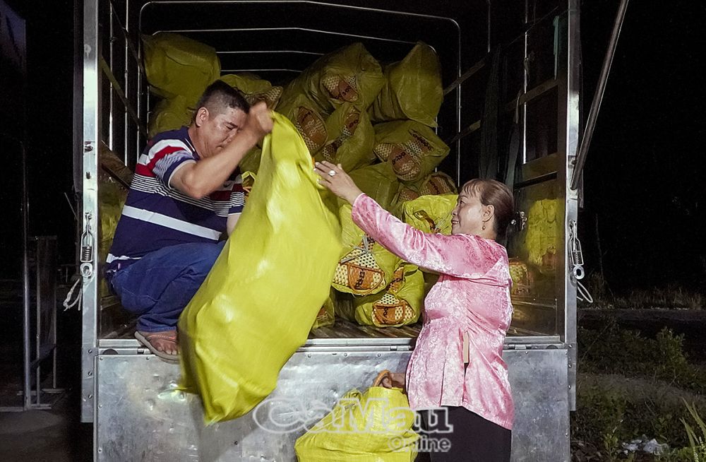 Cơ sở đan đát Mỹ Phượng thuê phương tiện vận chuyển sản phẩm, bàn giao đơn hàng cho đối tác TP Hồ Chí Minh để xuất khẩu.