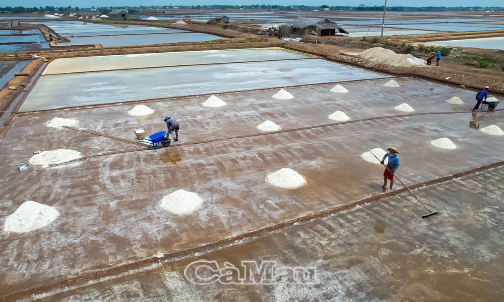 Diêm dân Bạc Liêu khát khao quảng bá, phát triển nghề muối từ cơ hội Festival nghề Muối Việt Nam - Bạc Liêu năm 2025.