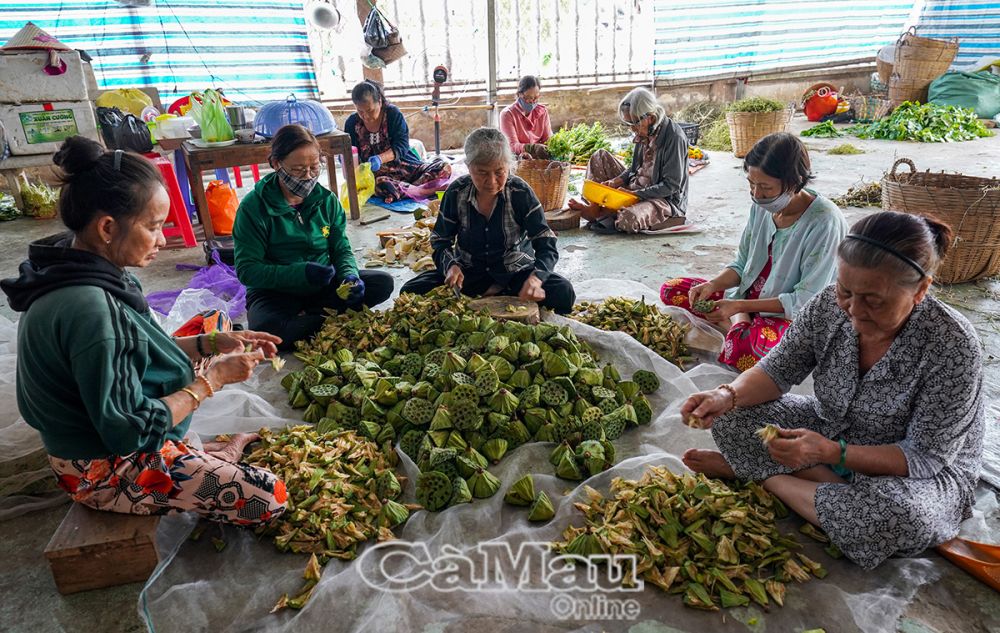 Các cụ vào hốt thuốc nam và làm công quả tại Phòng thuốc nam Phước thiện Phường 5, TP Cà Mau.