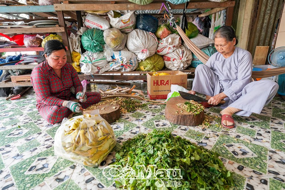 Cô Trần Thị Liễu, ấp Kênh Hội, xã Khánh Bình, huyện Trần Văn Thời và cô Lê Kim Hoa, Phường 2, TP Cà Mau, từng đến hốt thuốc Nam trị bệnh. Sau khi hết bệnh, các cô có hơn 15 năm vào làm công quả tại Phòng thuốc nam từ thiện chùa Quan Âm, Phường 2, TP Cà Mau.