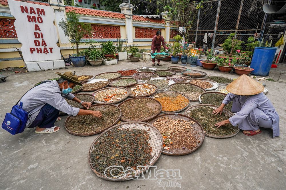 Bệnh nhân Trần Văn Tèo, Khóm 2, Phường 2, TP Cà Mau, hằng ngày, sau khi bán hết vé số, ông vào chùa Phật Tổ (Quan Âm Cổ tự, Phường 2, TP Cà Mau) phơi thuốc từ thiện.