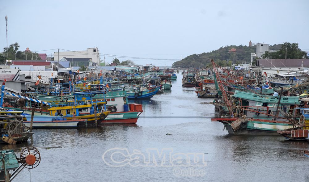 Tái cơ cấu, sắp xếp lại đội tàu khai thác thủy sản phù hợp với trữ lượng khai thác là hướng đi phù hợp nhưng phải quan tâm đến đời sống của người dân.