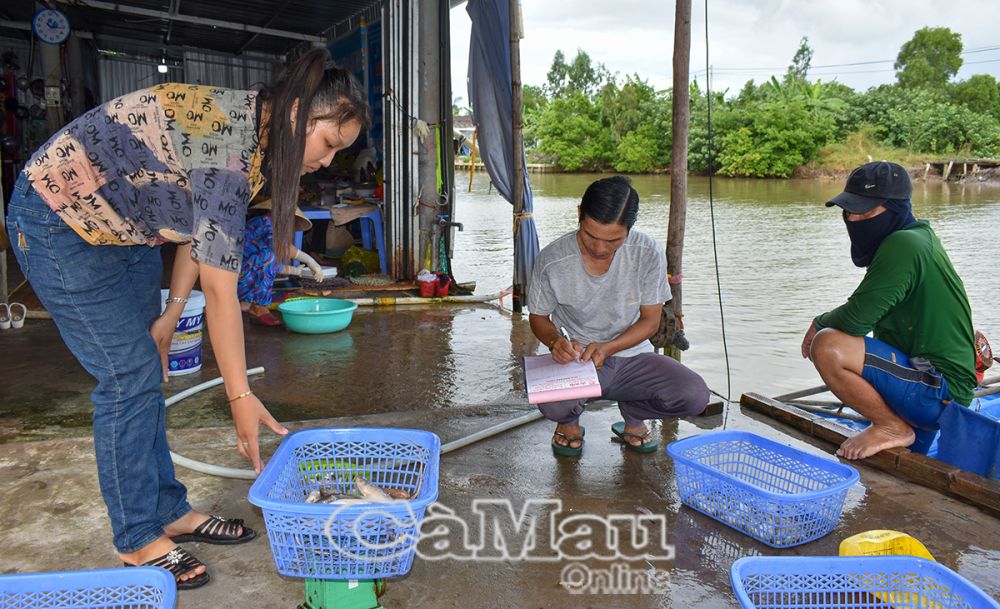 Gần cửa biển Mỹ Bình là điều kiện thuận lợi để Cơ sở sản xuất kinh doanh Võ Thị Lệ Huyền thu mua thuỷ sản, thuận tiện cho việc chế biến cá khô.