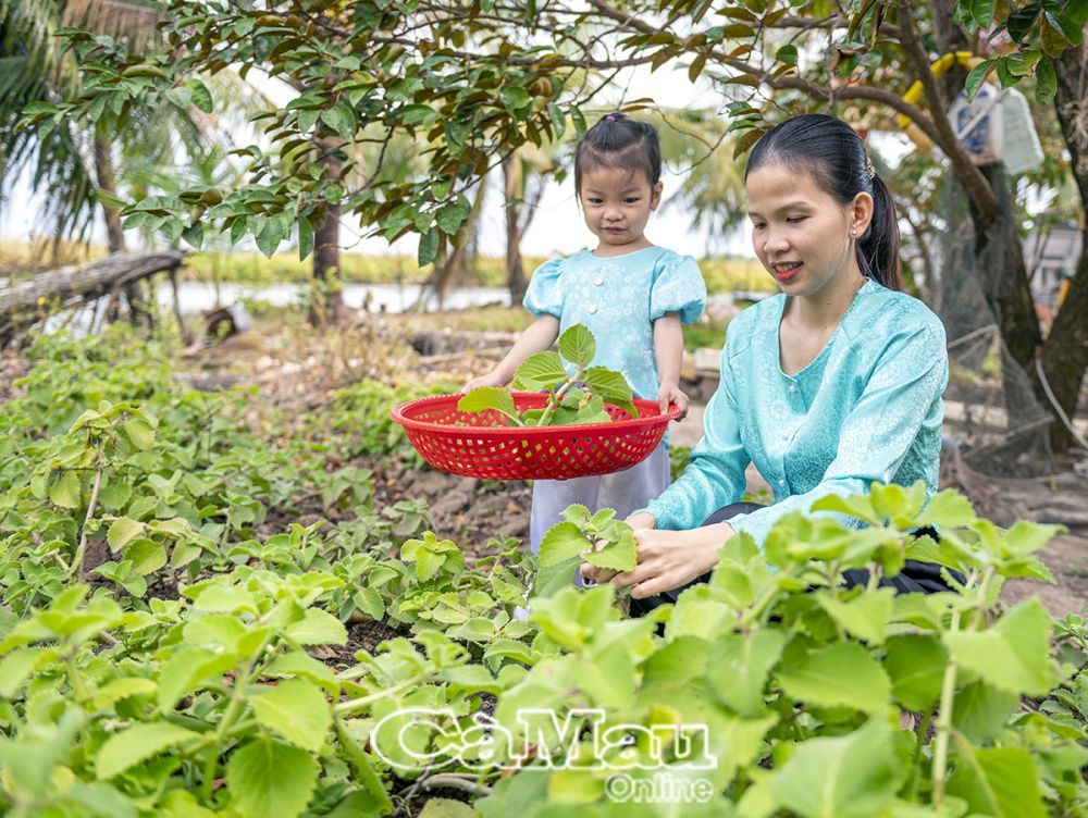 Chị Huyền xây dựng tình yêu thiên nhiên cho con thông qua việc cùng nhau chăm sóc và thu hoạch dược liệu tại vườn nhà.