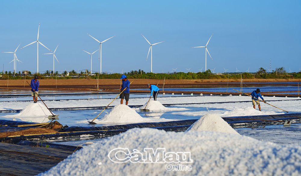 Hình ảnh về cánh đồng muối Bạc Liêu luôn thu hút sự chú ý của các nhiếp ảnh gia và du khách, góp phần quảng bá vẻ đẹp độc đáo của vùng đất này, từ đó nâng cao vị thế của hạt muối Việt Nam trên thị trường quốc tế.