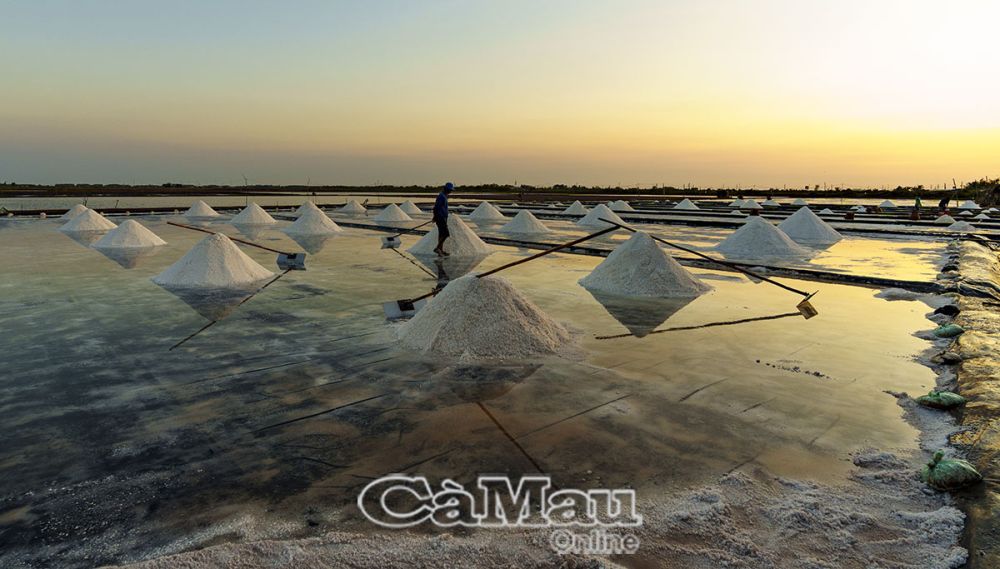 Khi mặt trời dần lặn, bầu trời chuyển sắc vàng cam rực rỡ, cánh đồng muối như được nhuộm một lớp ánh sáng ấm áp, khoảnh khắc mà thiên nhiên và con người hoà quyện, tạo nên khung cảnh tuyệt đẹp và là nguồn cảm hứng cho nhiều tác phẩm nhiếp ảnh.