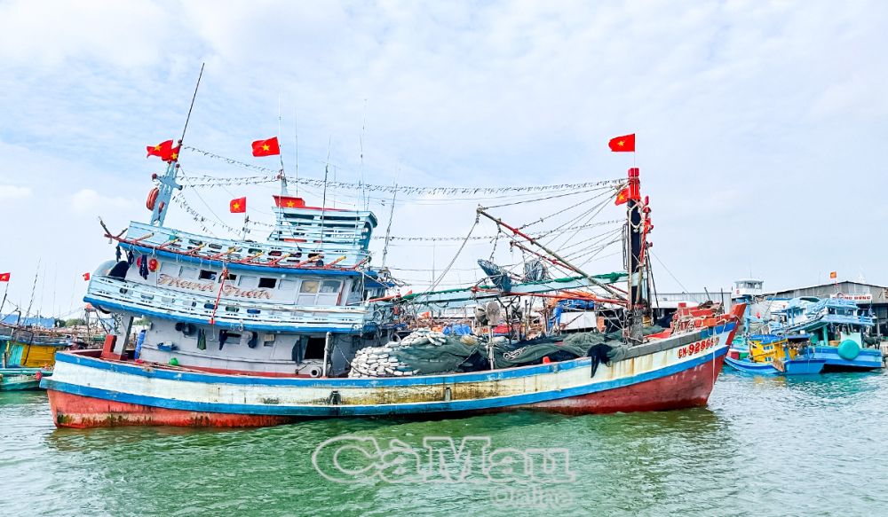 Cập nhật thông tin định danh chủ tàu của 100% tàu cá đủ điều kiện vào Cơ sở dữ liệu nghề cá quốc gia, phục vụ triển khai định danh tàu cá.