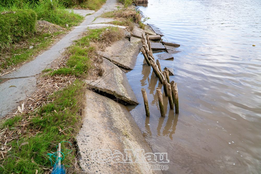 Một số nơi bờ kè bị sóng đánh hư hỏng nghiêm trọng, lấn sâu vào đường đi.