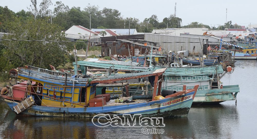 Tại các cửa biển, nhiều phương tiện nằm bờ dù trời đang lặn gió.