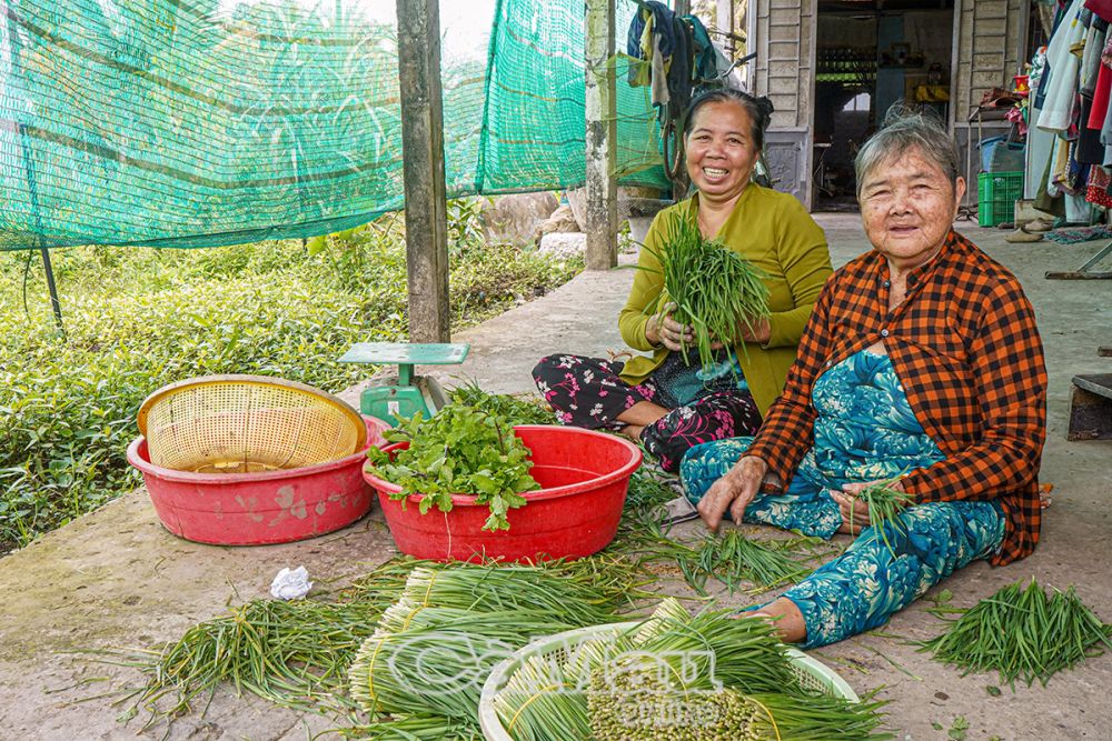 Có hệ thống tưới tiêu hộ bà Nguyễn Kim Hoa giảm được thời gian công sức, rau màu tươi tốt hơn, giá bán tương đối ổn định.