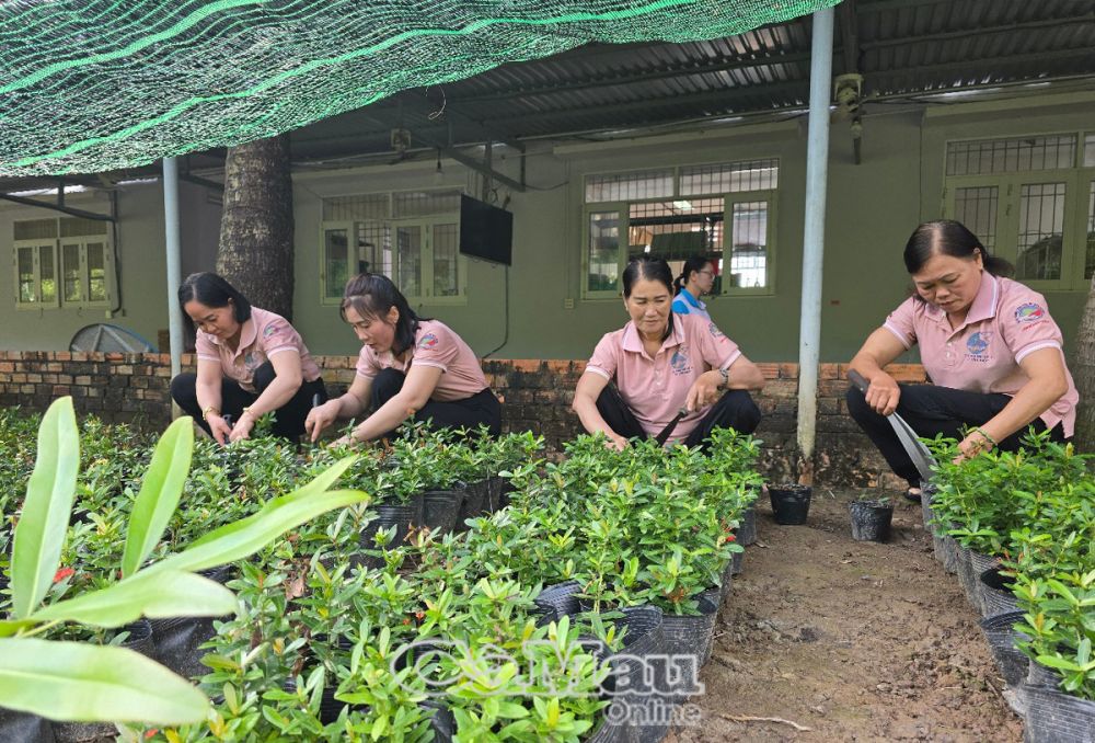 Phụ nữ ấp Tân Hiệp, xã Tân Dân chăm sóc vườn ươm cây giống.