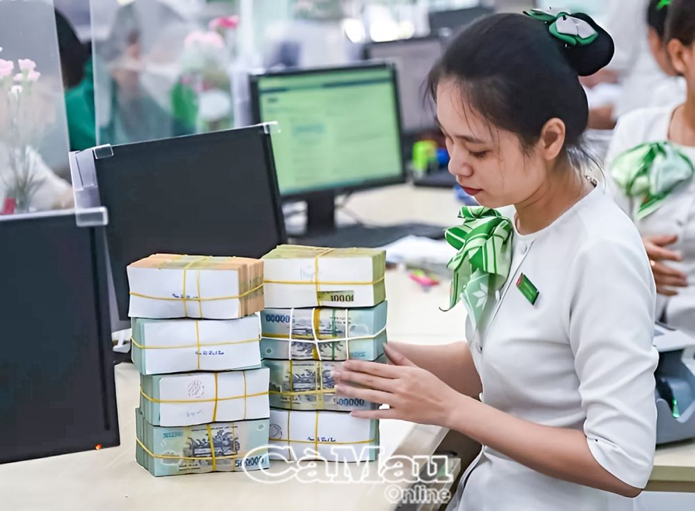 Vietcombank triển khai chương trình hỗ trợ tín dụng xanh, tạo điều kiện cho DN đầu tư vào mô hình sản xuất sạch.