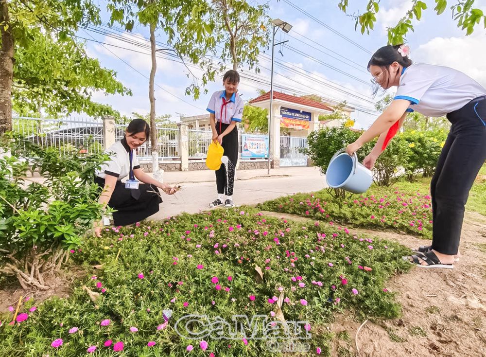 Cây xanh góp phần tô điểm cho cảnh quan trước cổng trường xanh - sạch - đẹp.