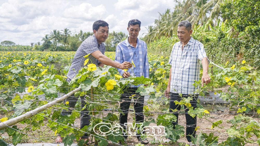 Nông dân ấp Kinh Ðứng B áp dụng nhiều cách làm hay để giữ nước phục vụ sản xuất mùa khô.