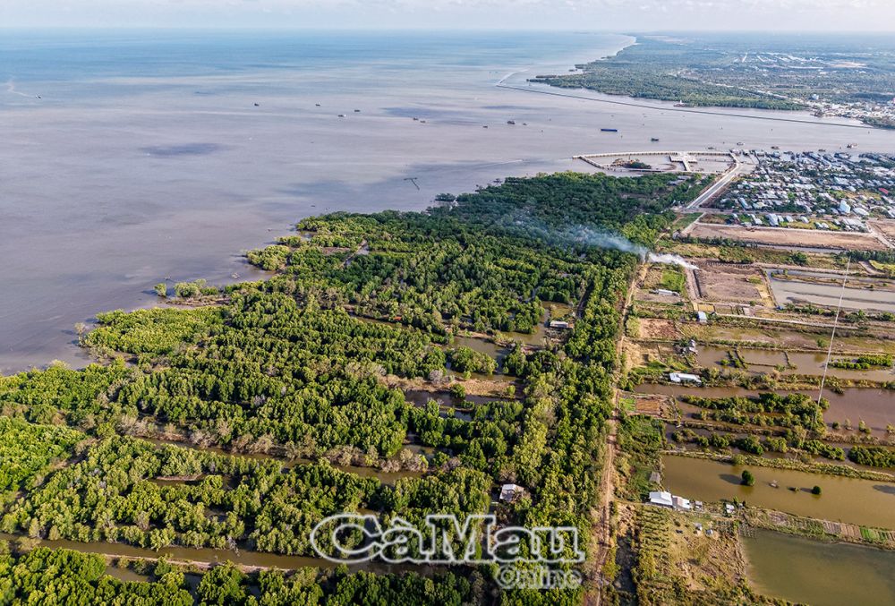 Tuyến ven biển bờ Tây từ Sông Ðốc (huyện Trần Văn Thời) đến Cái Ðôi Vàm (huyện Phú Tân) hiện chưa có bờ đê kiên cố cũng như nhiều vị trí cần hình thành hệ thống kè để bảo vệ rừng phòng hộ, đê, đất sản xuất...