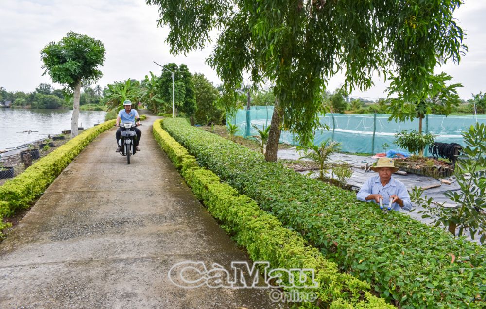 Ðến nay, xã Phú Mỹ có trên 70% hộ gia đình xây dựng rào bằng bê tông hoặc cây xanh, góp phần làm cho cảnh quan môi trường nông thôn thêm xanh - sạch - đẹp.