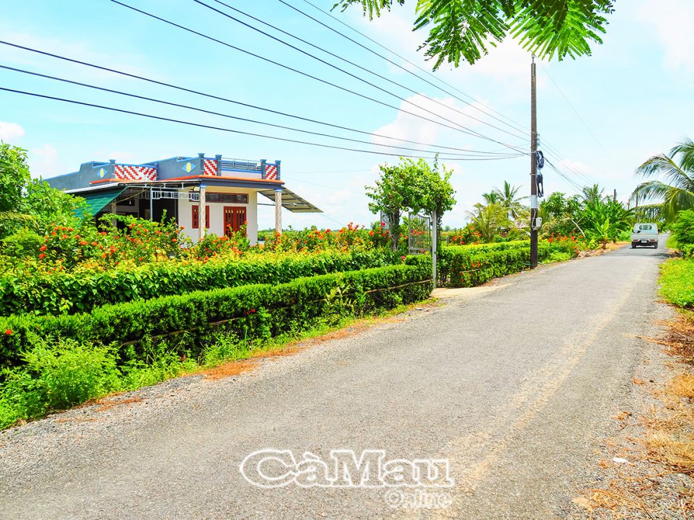 1/ Diện mạo nông thôn trên địa bàn xã Trí Lực ngày càng khang trang.