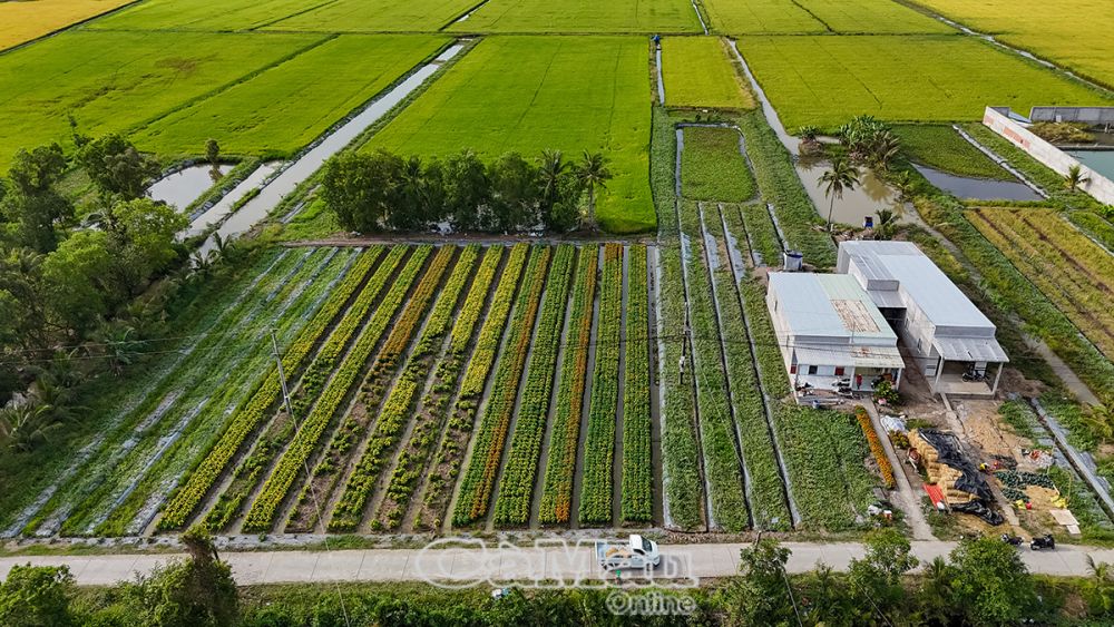 NTM mang lại sức sống mới, tiện nghi cho vùng nông thôn. (Ảnh chụp tại xã Lý Văn Lâm, TP Cà Mau).