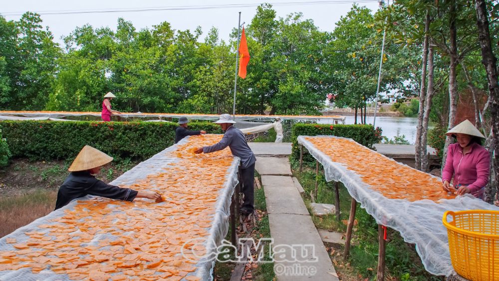 Người dân ấp Mỹ Hoà, xã Trần Thới, huyện Cái Nước, tích cực thi đua phát triển kinh tế và hưởng ứng phong trào xây dựng NTM.