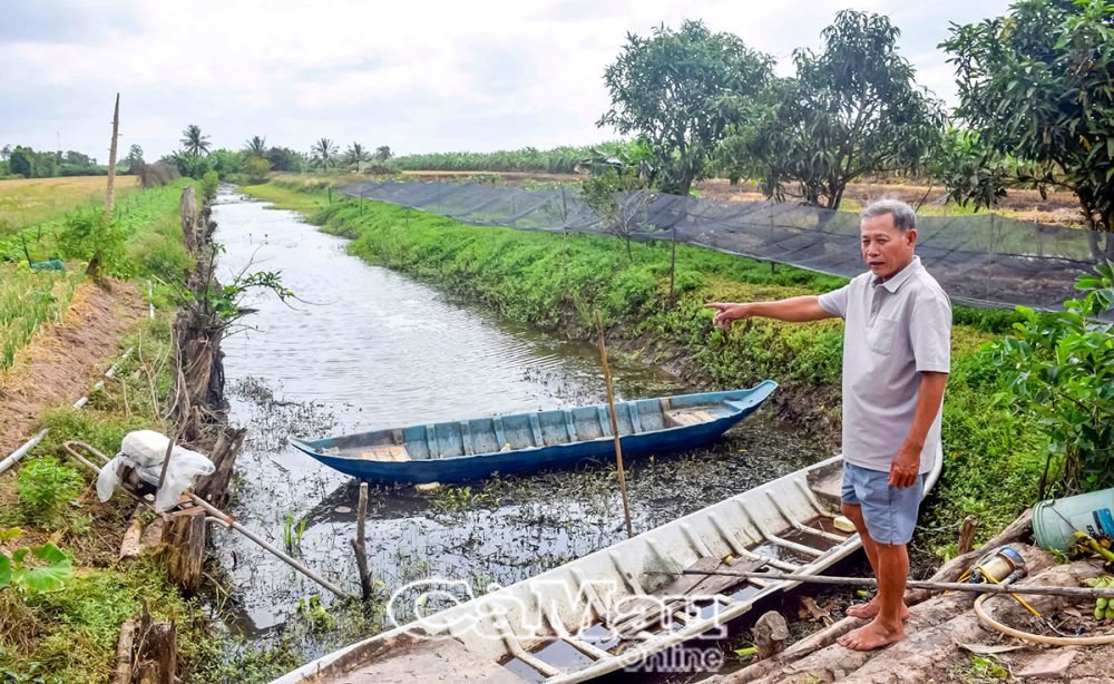 Ông Nguyễn Trọng Phối với mô hình nuôi cá đồng được ông áp dụng thành công: phía trên trồng rẫy, phía dưới bảo tồn cá đồng hiệu quả.
