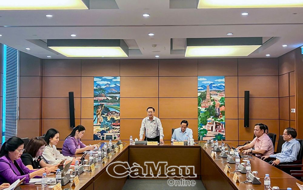 Ảnh: Đại biểu Nguyễn Quốc Hận, Phó trưởng Đoàn phụ trách Đoàn ĐBQH tỉnh Cà Mau, chủ trì thảo luận.