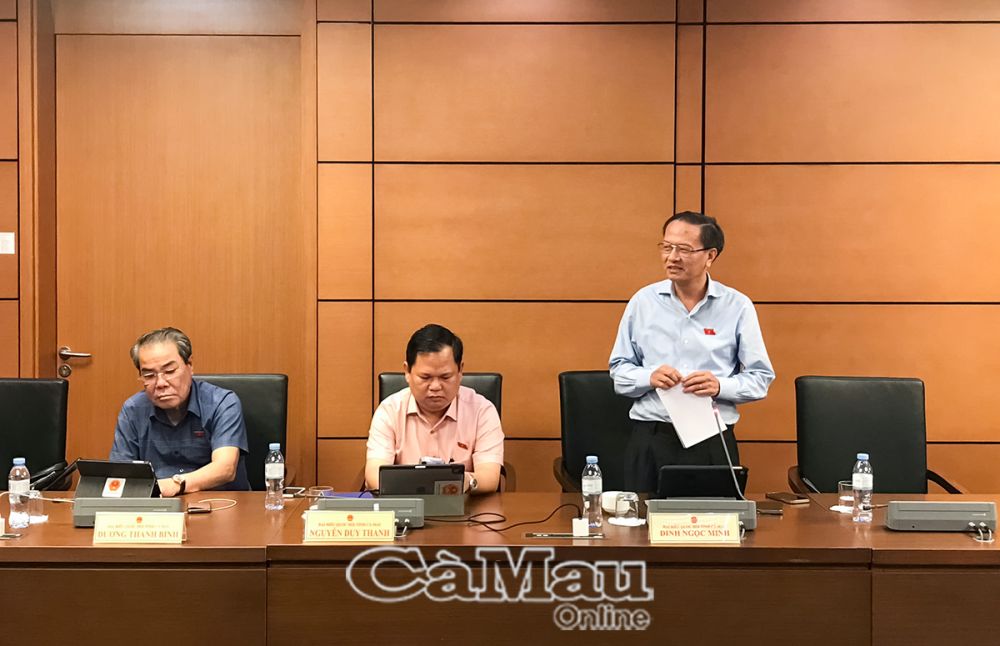 Đại biểu Đinh Ngọc Minh, Đoàn ĐBQH tỉnh Cà Mau phát biểu