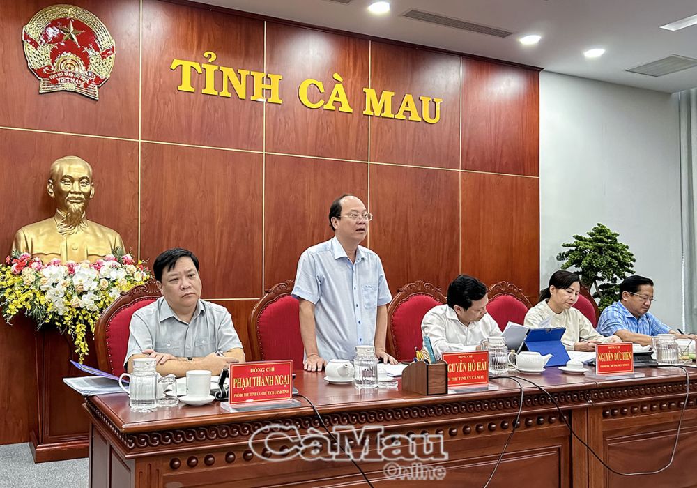Bí thư Tỉnh uỷ Nguyễn Hồ Hải phát biểu tại phiên họp.
