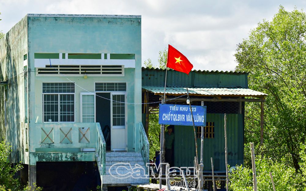 Chốt Quản lý bảo vệ rừng Vàm Lũng cách cửa biển Vàm Lũng không xa.