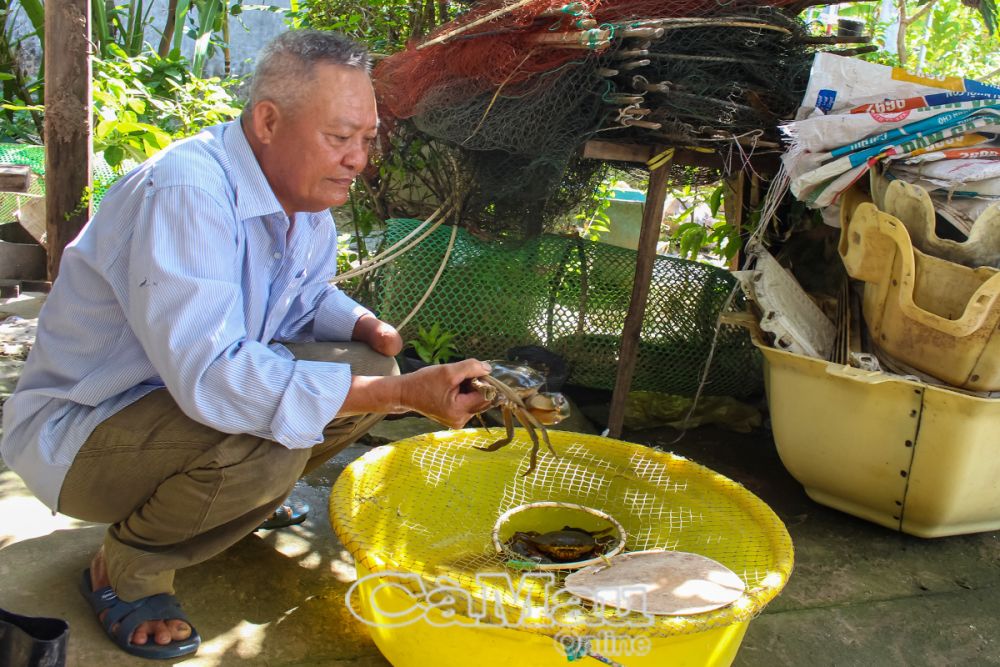 Ông Phan Văn Luân có thu nhập ổn định từ 3 ha đất kết hợp nuôi tôm, cua và trồng lúa một vụ.