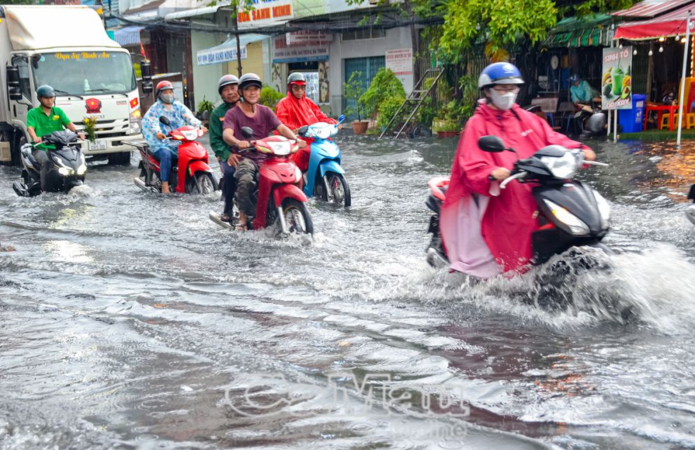 Cơn mưa chiều 13/5 chỉ kéo dài hơn 40 phút nhưng làm cho nhiều tuyến đường nội ô TP Cà Mau ngập sâu. (Ảnh chụp đường Nguyễn Công Trứ, Phường 8).