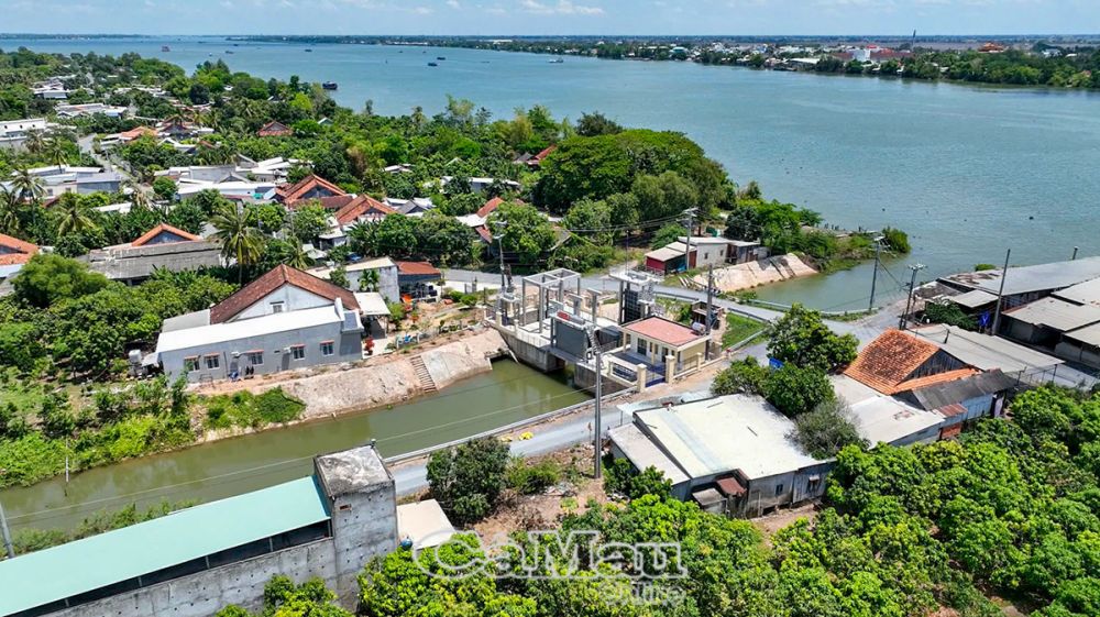 Sức vươn Cù lao Tây Cù lao Tây được ví như “lá phổi xanh” với nhiều tiềm năng phát triển kinh tế.