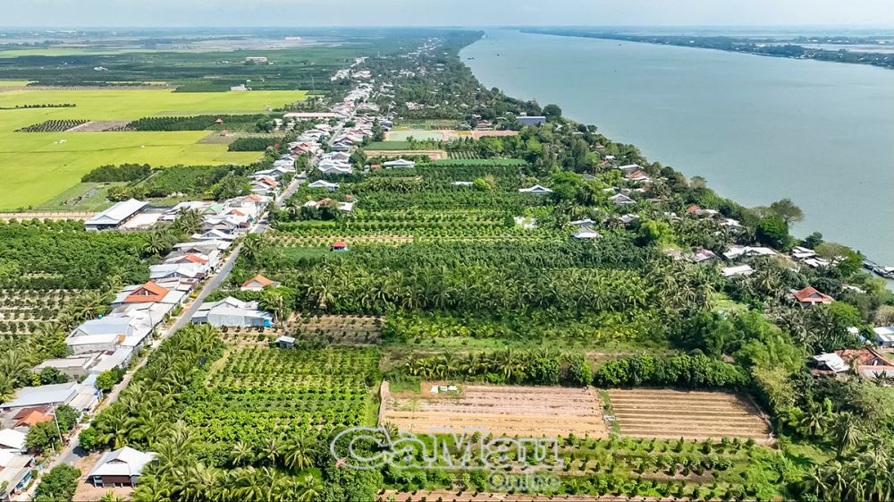 Sức vươn Cù lao Tây Cù lao Tây nhìn từ trên cao.