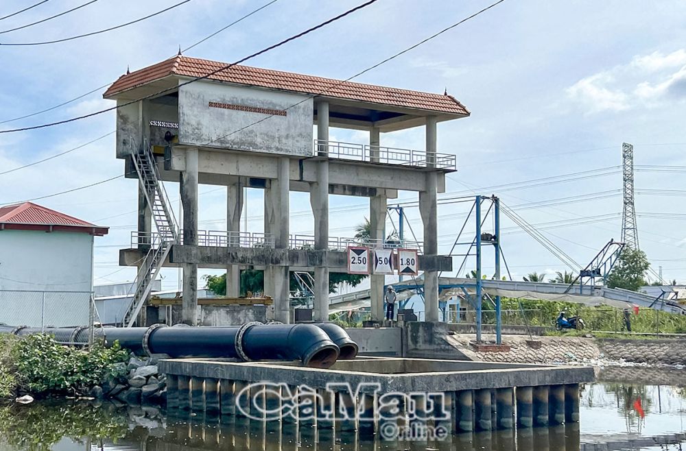 Huyện Trần Văn Thời cần đầu tư xây dựng thêm 13 trạm bơm tuyến đê bao ngoài của vùng ngọt hoá để phục vụ sản xuất, nhất là bơm thoát nước chống ngập khi mưa lớn cục bộ.