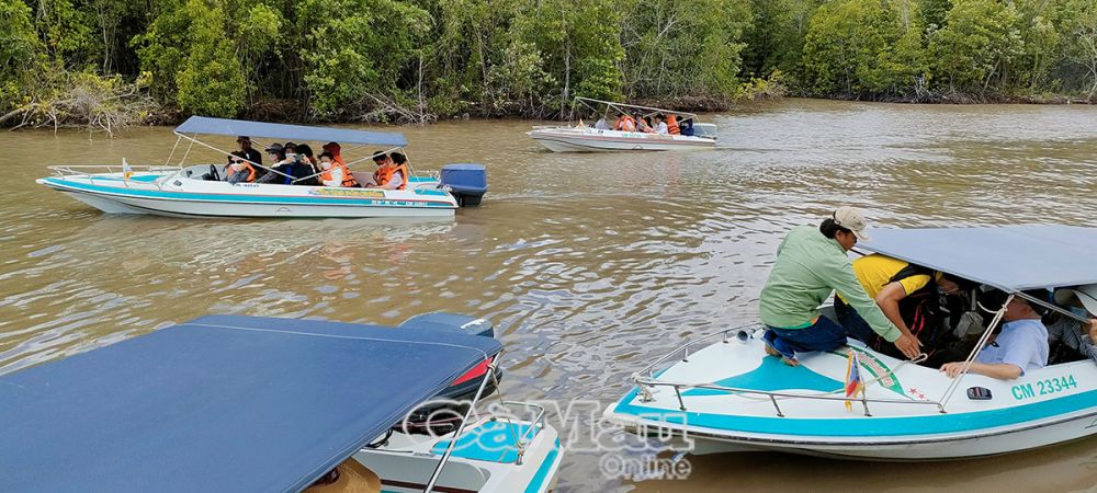 Chở khách tham quan xuyên rừng ngập mặn.